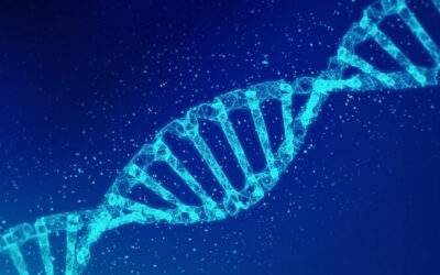 Is DNA the future of data storage?